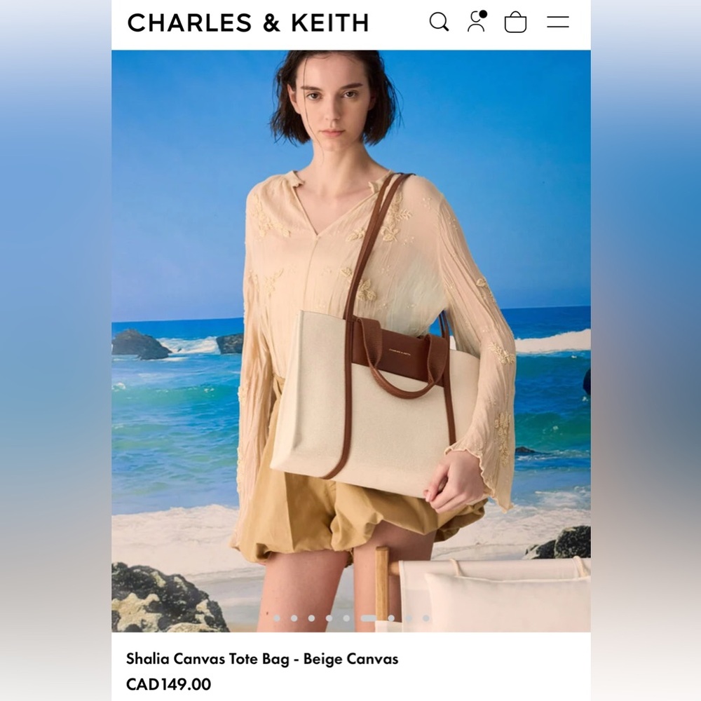 Charles & Keith Beige and Brown Canvas Tote Bag - Picture 2 of 6